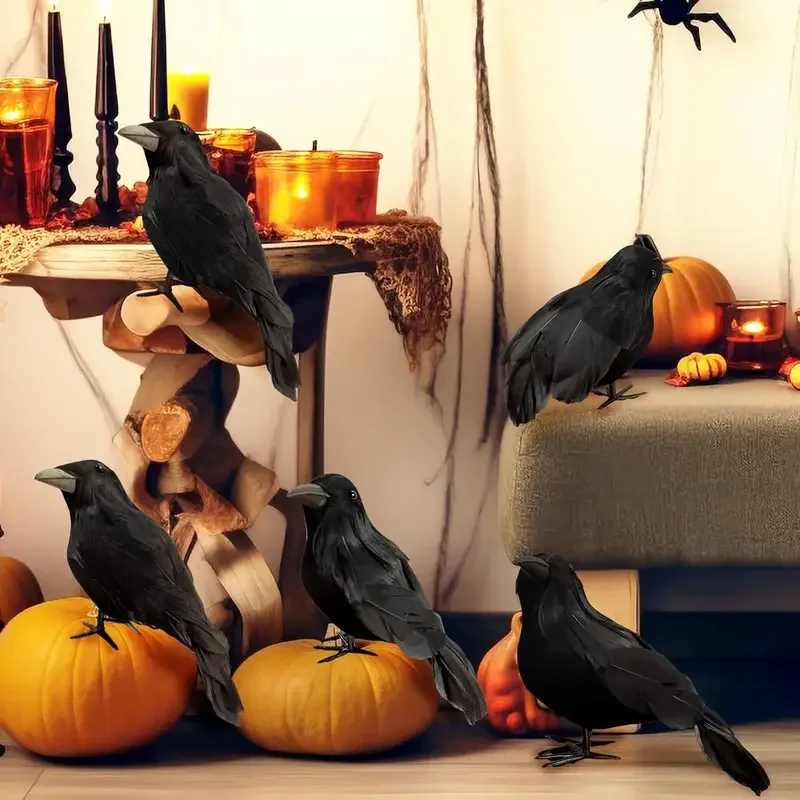 قطعة واحدة من ديكور الغراب الأ - مراجعة Home Decor Com وسعره