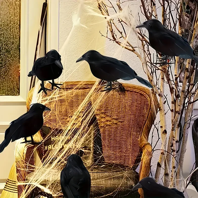 قطعة واحدة من ديكور الغراب الأ - مراجعة Home Decor Com وسعره