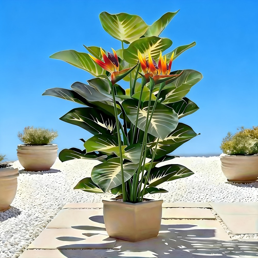 نباتات طائر الجنة والبوثوس الا - مراجعة Home Decor Center وسعره